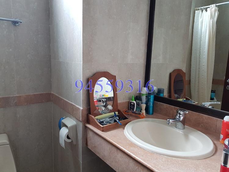 Tanglin Regency (D10), Condominium #170181612